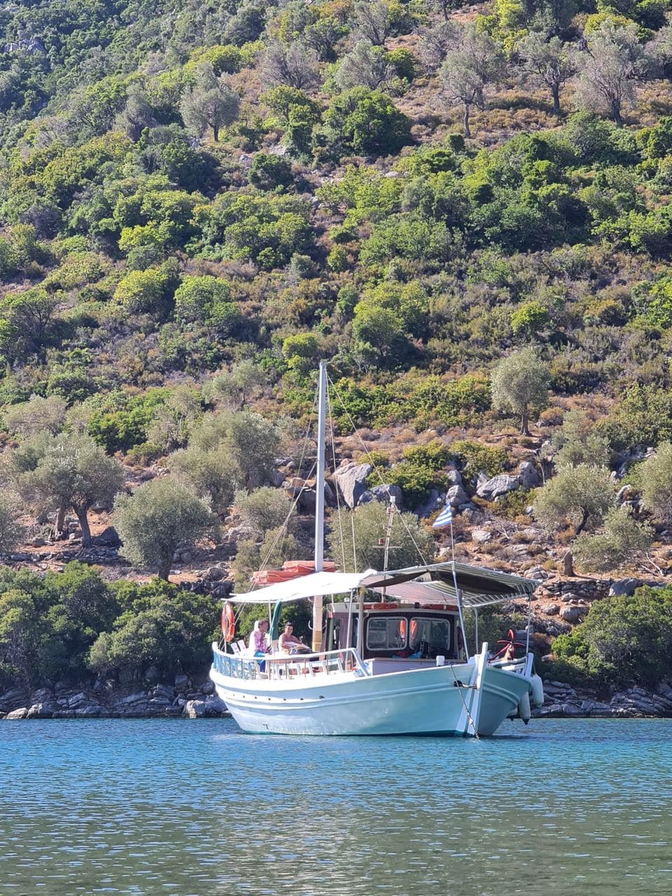 Classic Day Boat